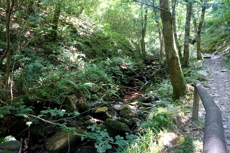Ruta del Agua (Taramundi) - Descubriendo Asturias (37)