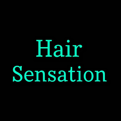 Hair Sensation logo
