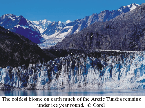 antarctic biome The antarctic ecosystem research division ( aerd) conducts research to fulfill noaa's mandate of providing scientific advice that. antarctic biome The antarctic ecosystem research division ( aerd) conducts research to fulfill noaa's mandate of providing scientific advice that.