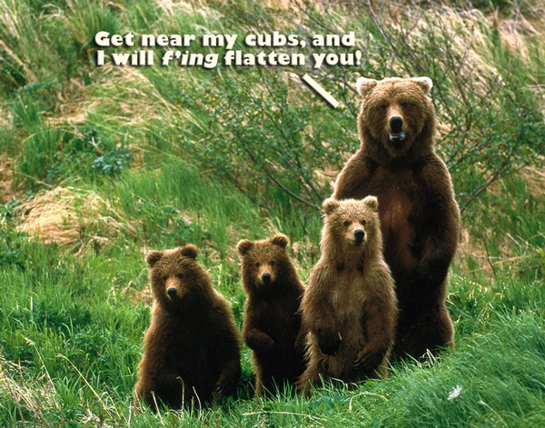 Mother Bear and cubs