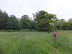 Footpath across Frostenden meadows