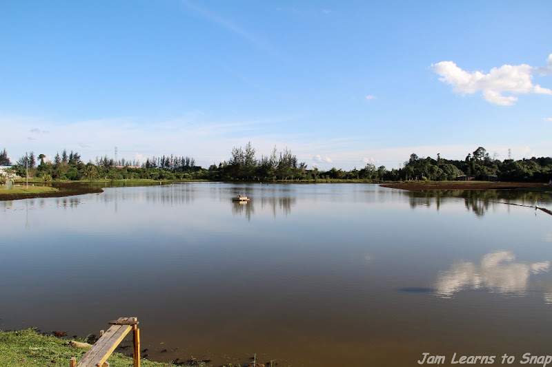Sibu Lake Garden Sibu Lake Garden picture water sky nature landscape green photo