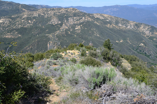 Monte Arido trail and road