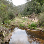 Glenbrook Creek (73815)