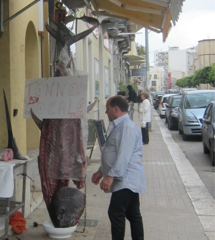Årstidens Mad - og et glas Vin til!: Tuna Tuna - det er sæson for  Middelhavstun