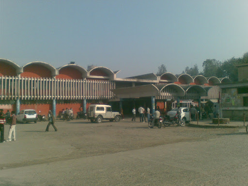 Bus stand, NH65, Sector 14, Hisar, Haryana 125011, India, Bus_Charter, state HR