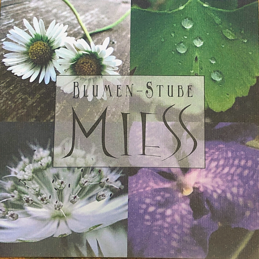 Blumen-Stube Miess, Inh. Michaela Miess logo