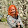 Віта Прачова Віта Прачова's profile photo