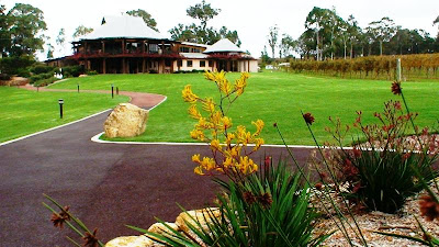 Kangaroo paws flowers, and the Vasse Felix winery and restaurant
