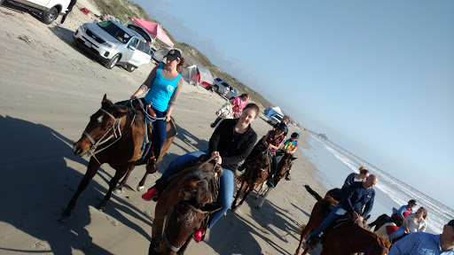 Horses On the Beach