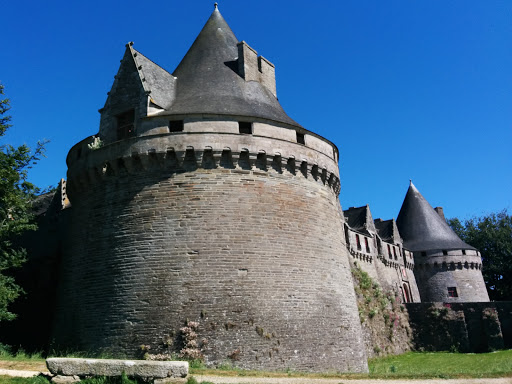 Place around image