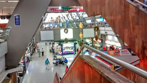 Terminal de Transporte