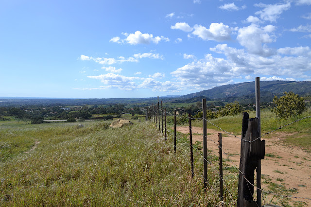 fence and road and Goleta