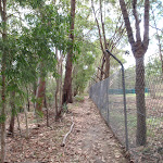 Following the side of the animal enclosures (117319)