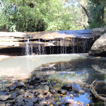 Terry's Creek Waterfall (80386)