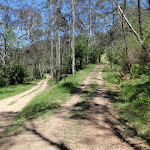 Int of Ten Mile Hollow Rd and Donny's track (223541)