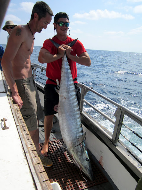 huge wahoo fish