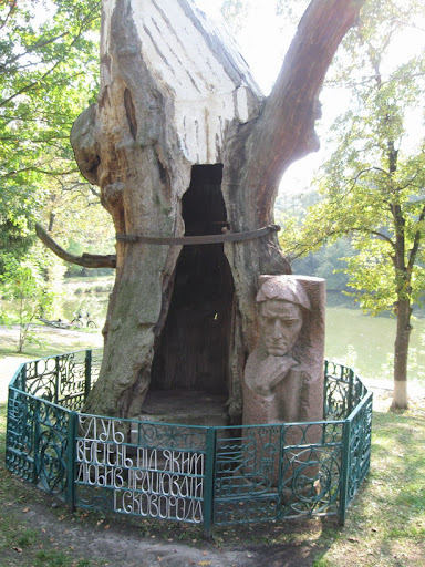 дуб великан в парке сковороды