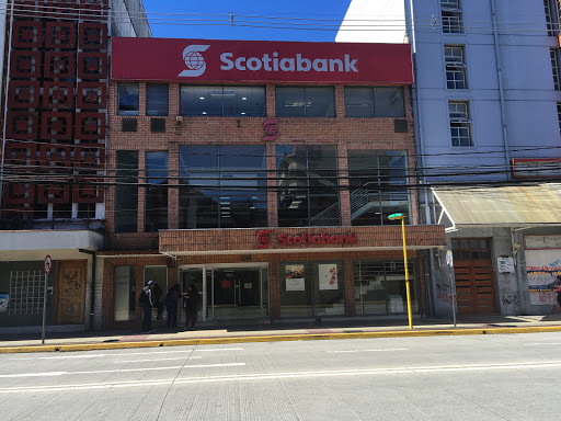 Banco Scotiabank, Guillermo Gallardo 174, Puerto Montt, X Región, Chile, Banco | Los Lagos