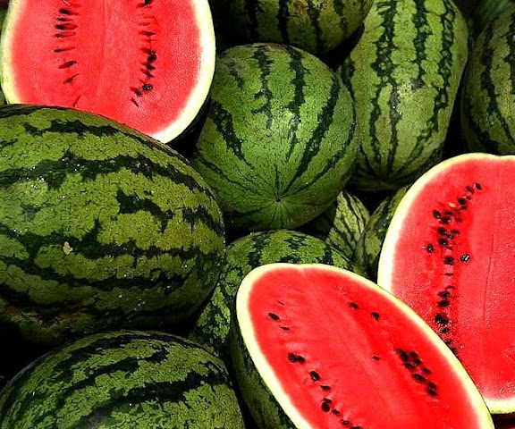 البطيخ من أفضل الأطعمة الصحية  Watermelons