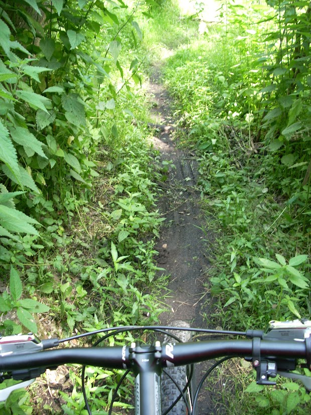 DSCN0288.JPG