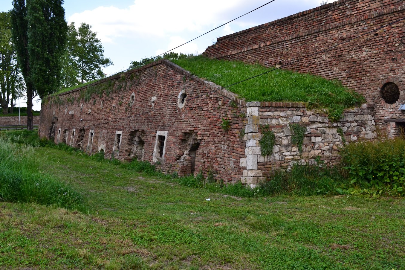 DSC_0965.JPG