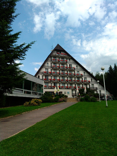 Hotel Ski