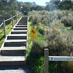 Merrits Nature Track steps at Friday Dr (273356)