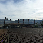 Kangaroo Ridge lookout platform (270599)