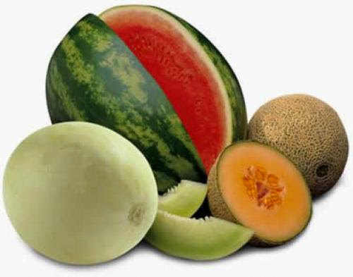 Melons Can Help Induce A Lucid Dream
