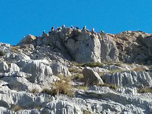 Ojo del diablo