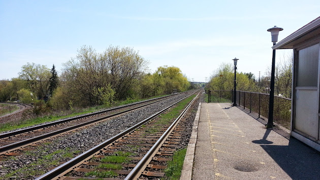 Cover photo
