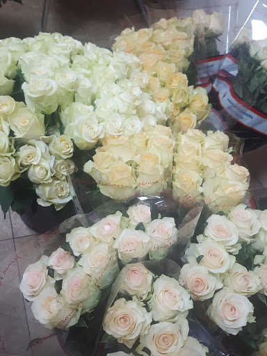 LilyCalla Flowers LLC, Dubai - United Arab Emirates, Florist, state Dubai