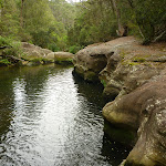 Water hole below 'the Spa' on Waitara Creek (333059)