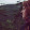 emma mook emma mook's profile photo