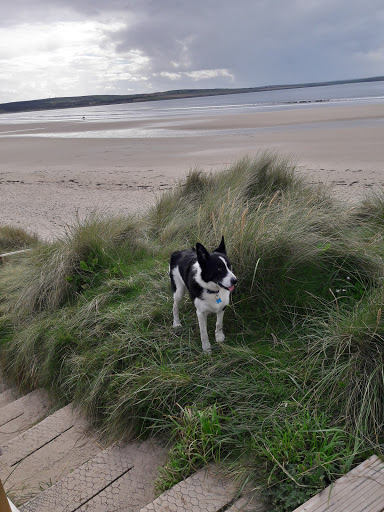 Dunnet Bay Caravan and Motorhome Club Campsite