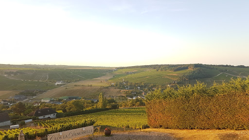 Le Panoramic Hôtel