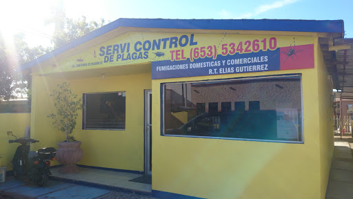 Servi Control de Plagas, Av Alvaro Obregon 2606, Burócrata, 83450 San Luis Río Colorado, Son., México, Empresa de fumigación y control de plagas | SON