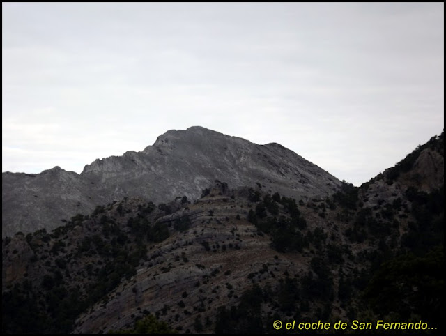 cerca fetiche pecho grande en Jaén cerca fetiche pecho grande en Jaén