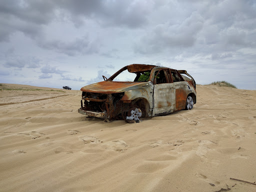 Sand Dune Safaris