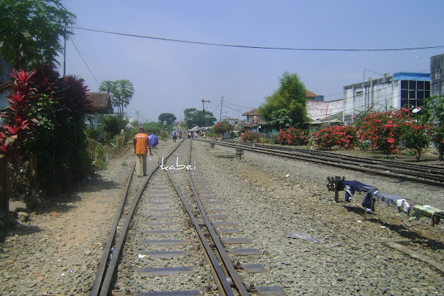[Image: DSC05154.JPG]