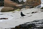 Isla de Iona