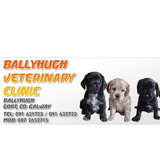 Ballyhugh Veterinary Centre logo