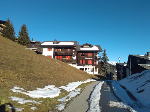 Aletsch Arena AG