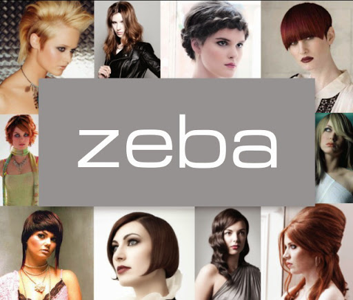 Zeba Hairdressing Sandymount logo