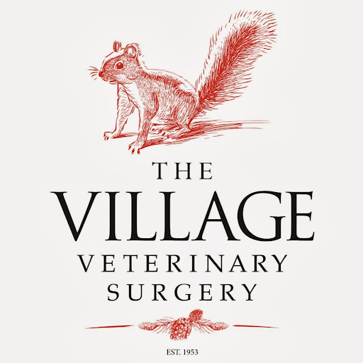 Village Veterinary Surgery