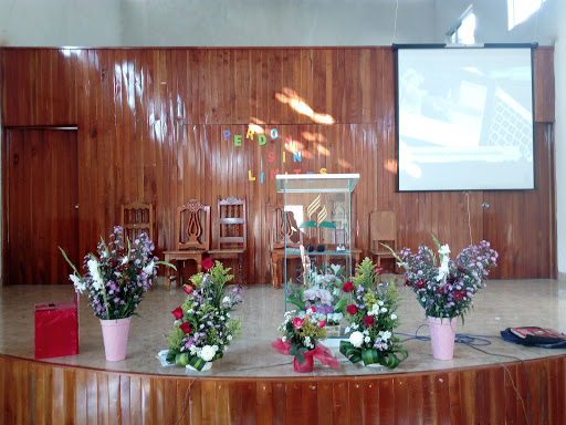 Iglesia Adventista Central, Segunda Calle Ote. 19, Guadalupano, Villa Comaltitlán, Chis., México, Iglesia cristiana | CHIS