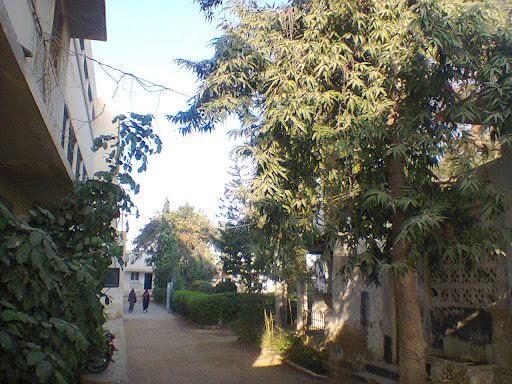 Jamia Millia College Malir Karachi Map Jamia Millia Government Degree College, Sindh