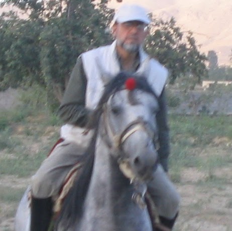 Zabihullah Mojaddidy