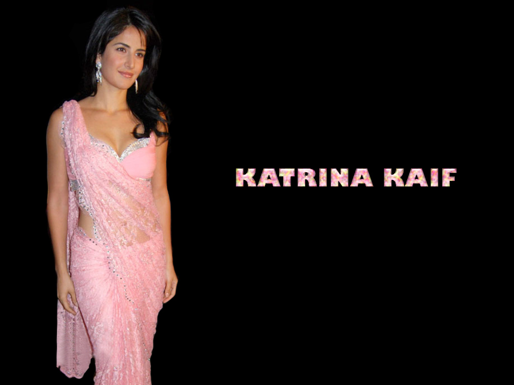 Designer Saree Bollywood Saree Bridal Saree Bollywood Actress Katrina Kaif In Pink